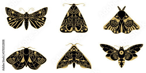 Isolated object. Butterfly set. Line drawing. Tarot symbols. Mysticism, esotericism, nature, harmony. Simple beautiful butterflies.