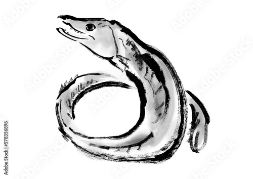 鱧の手描き和風イラスト素材　白黒,モノクロ,単色