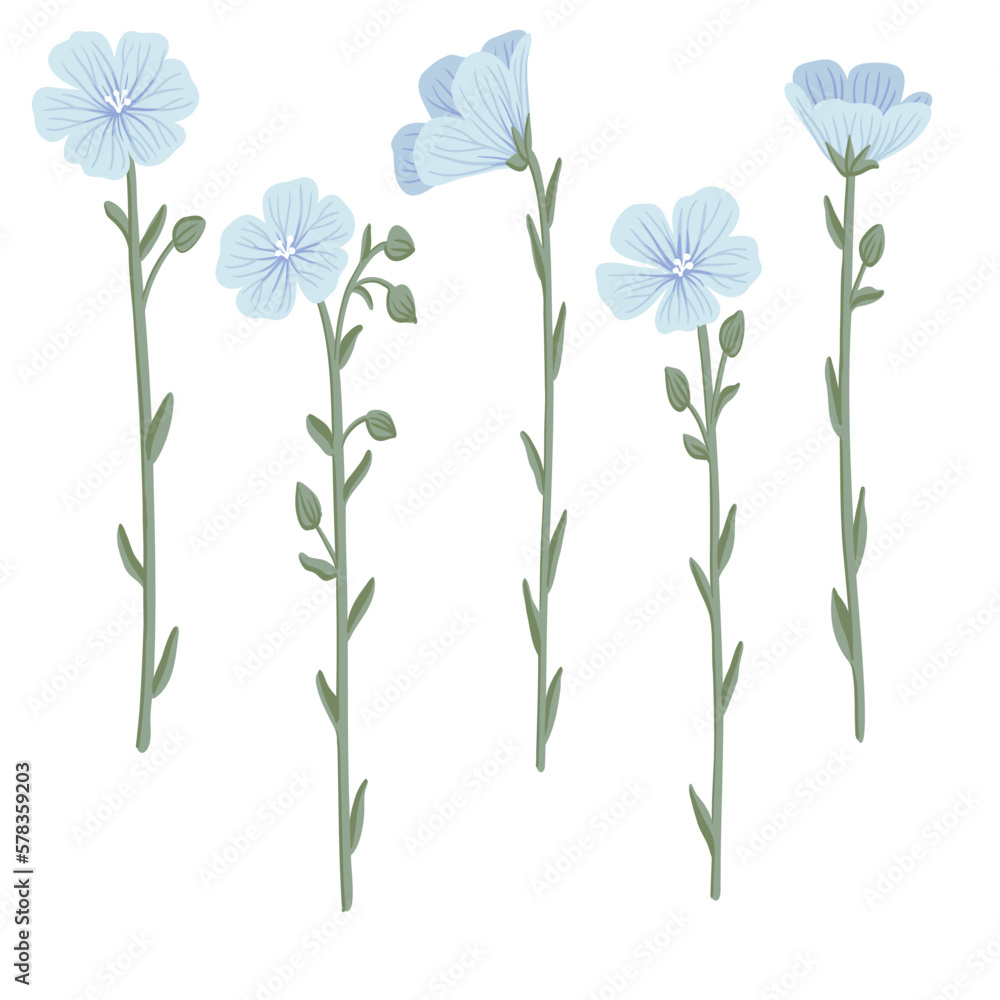 blue linum,flax, field flowers, vector drawing wild plants at white background, floral elements, hand drawn botanical illustration blue linum,flax, field flowers, vector drawing wild plants at white background, floral elements, hand drawn botanical illustration