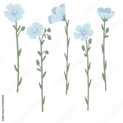 blue linum,flax, field flowers, vector drawing wild plants at white background, floral elements, hand drawn botanical illustration