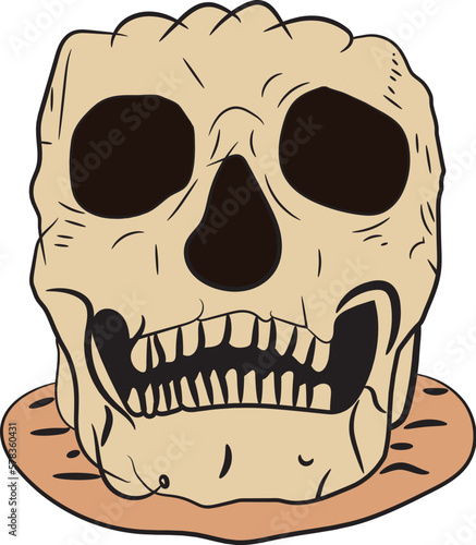 illustrator vector of human skull  photo