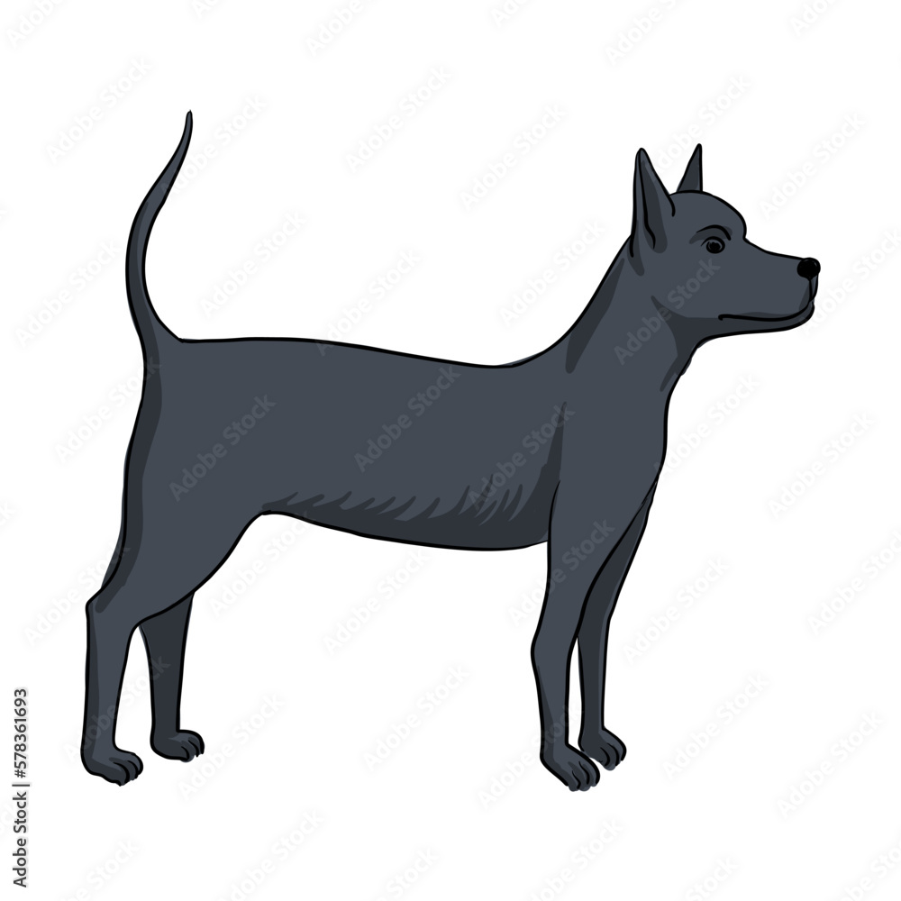 vector drawing sketch of animal, hand drawn dog, isolated nature design element
