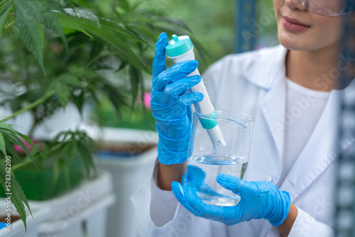 Pharmaceutical factory woman worker in protective clothing operating production line in sterile environment, scientist with glasses and gloves checking hemp plants in a marijuana farm