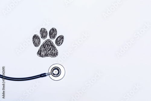 Veterinario de animales, medico de perros, gatos. Clinica veterinaria, huella de perro