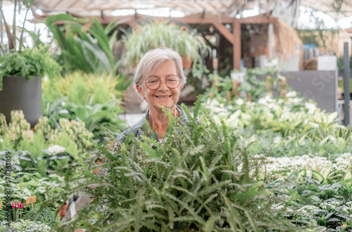 Smiling senior caucasian woman in checkered shirt enjoying shopping in the greenhouse selecting pots of plants and flowers for her garden - gardening springtime concept