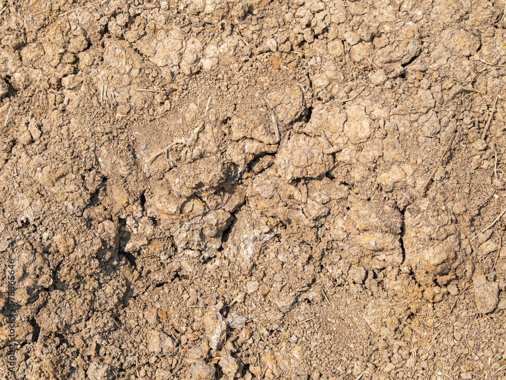Close-up shot of dry and cracked soil surface. Environmental nature pattern. Global warming and rough surface