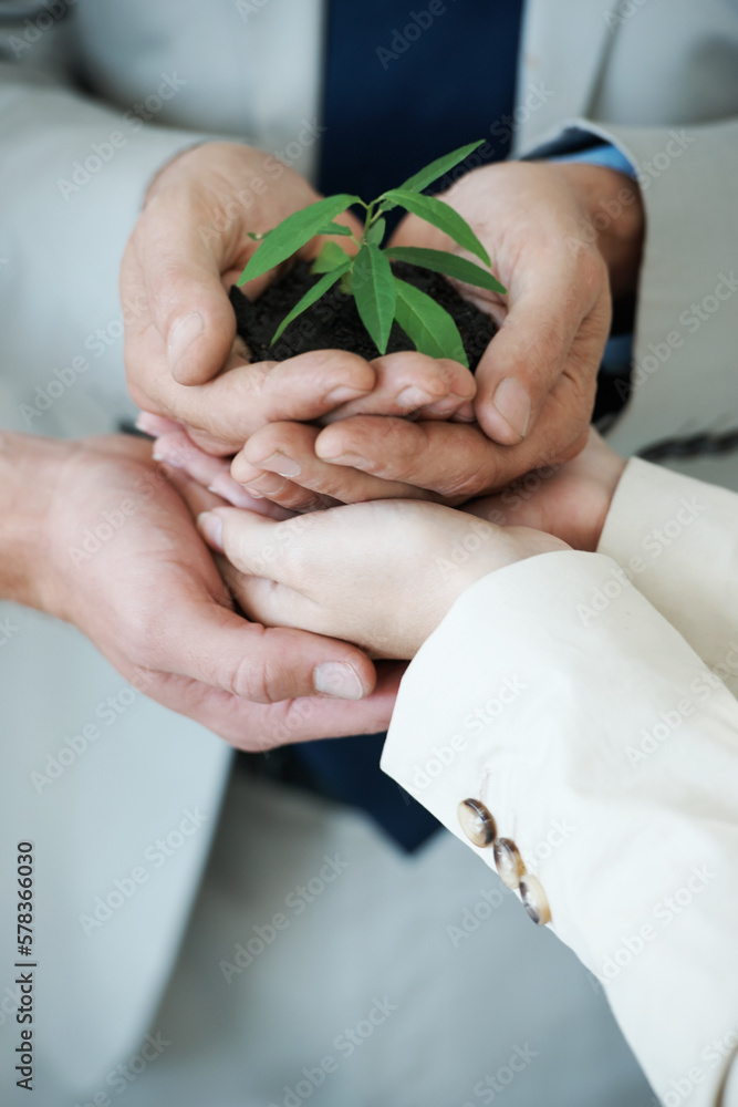 Nurturing corporate growth. Cropped image of hands holding a small plant growing in soil.