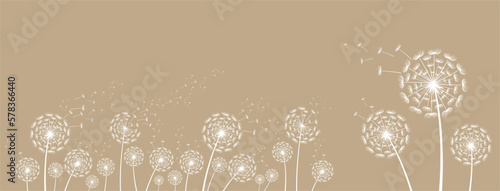 
A dandelion with seeds blown away by the wind.
 Illustration for holiday cards. Free space for copying. 
Vector drawing.