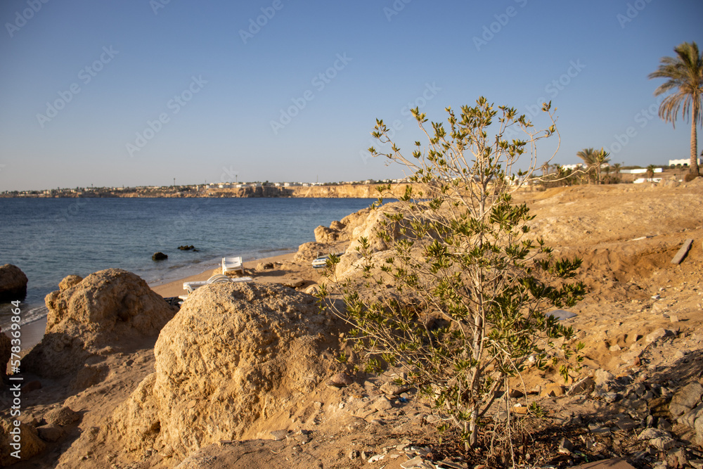 Desert coast line with dark blue water and clear blue sky 