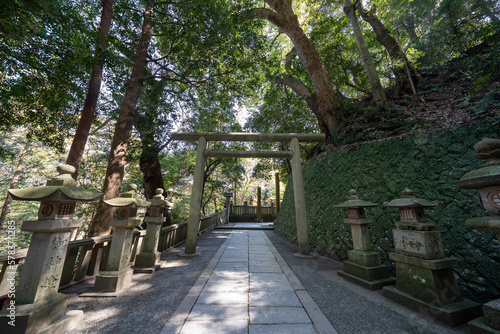 金比羅山の風景