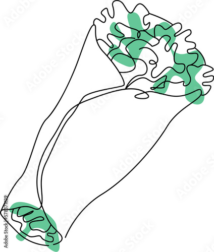 Shawarma with color spots Fast food