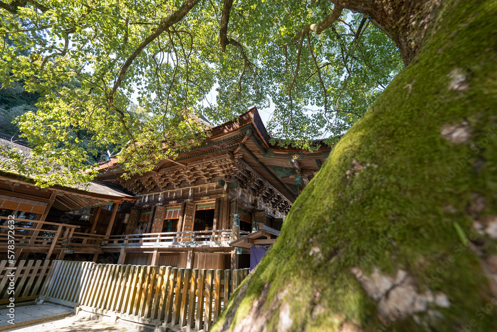 金比羅山の風景