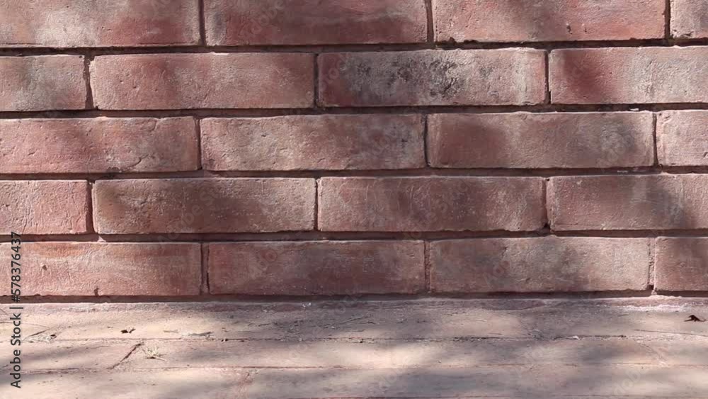 Red brick wall background with plant shadow Red brick wall background with plant shadow