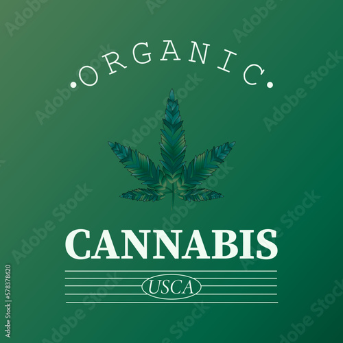 Логотип для конопли. Лист конопли.