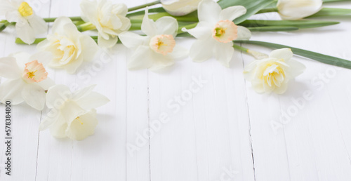 white narcissus on white wooden background