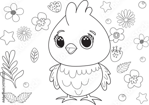 chick, childrens coloring book isolated vector