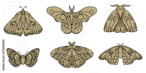 Isolated object. Butterfly set. Line drawing. Tarot symbols. Mysticism, esotericism, nature, harmony. Simple beautiful butterflies.