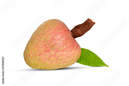 Rare medicinal fruit Ramphal , Annona reticulta or Wild sweetsop, custard apple fruit isolated on white background photo