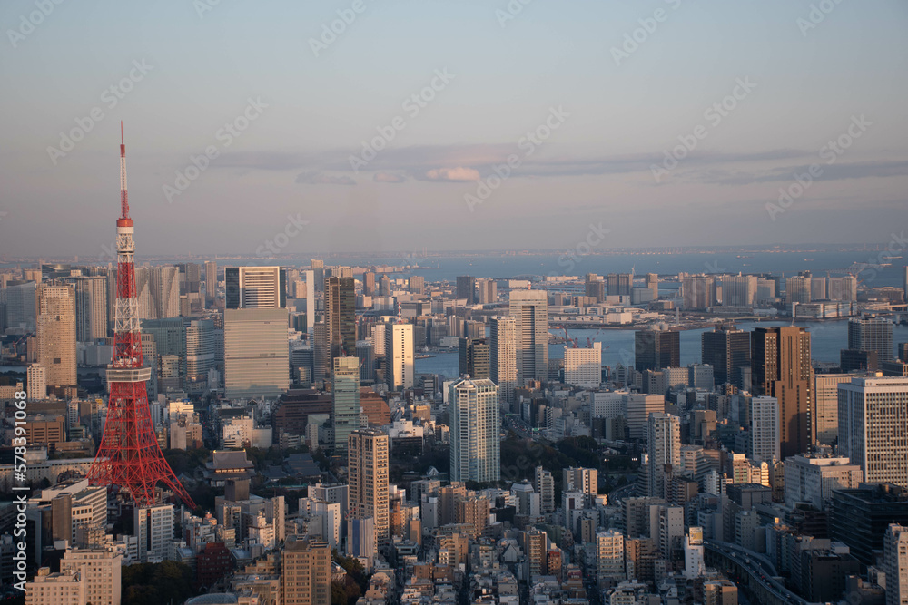 Sunset city view of Tokyo Tower/ Skyline