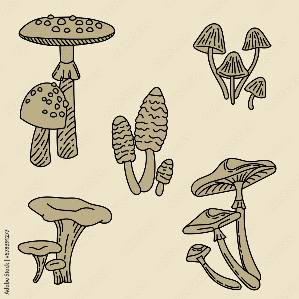 Set with mushrooms. Forest plants. Mushrooms linear sketch. Retro style. Isolated image, vector. Fly agaric, porcini mushroom, boletus, grebe, mushrooms. Set with mushrooms. Forest plants. Mushrooms linear sketch. Retro style. Isolated image, vector. Fly agaric, porcini mushroom, boletus, grebe, mushrooms.