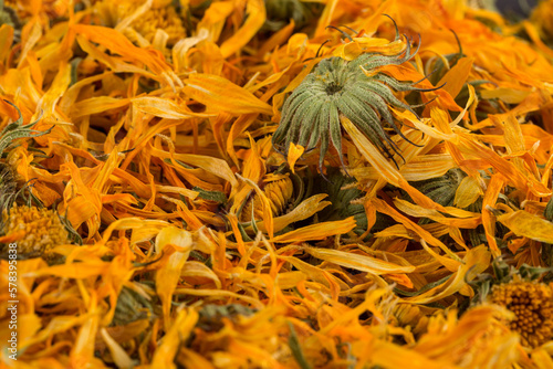 Calendula flowewr tea photo