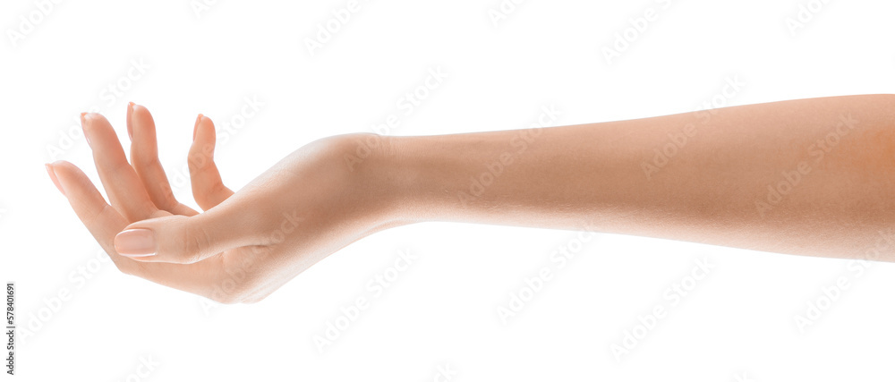 Hand holding something . Woman's hand isolated transparent PNG with perfectly manicured nails. Ideal for beauty blogs, wellness, and fashion websites