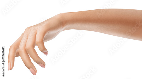 Beautifully female hand, concept for luxury cosmetology or social media-related content. Well-manicured hand holding. Nature or gardening-related promotions concept.