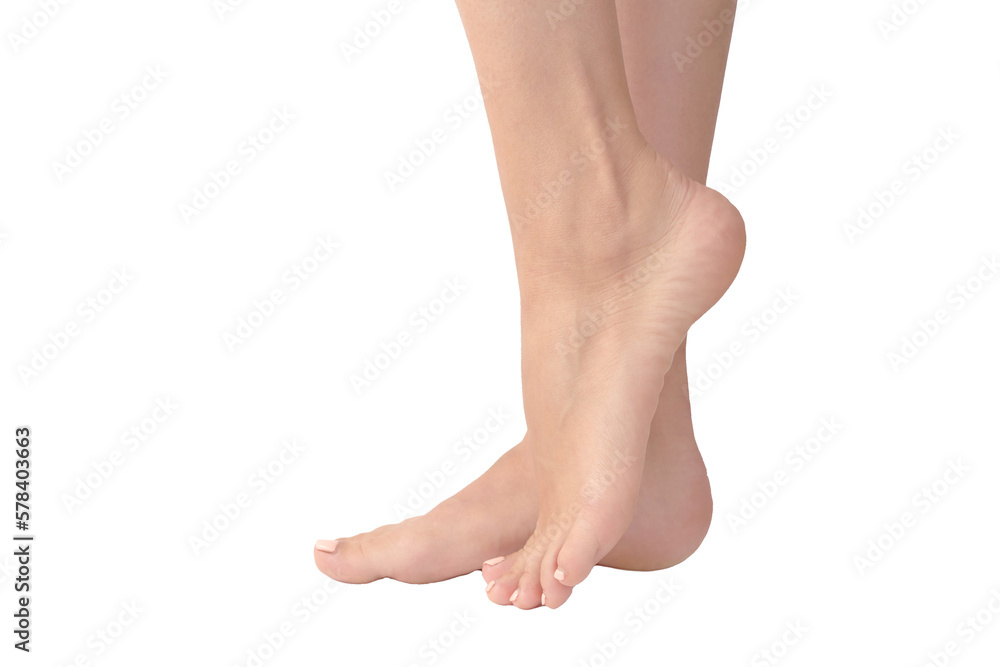 Beautiful female feets retouched and isolated. Standing on your legs, one foot on your toes. Empty space, blank for design.
Beautiful female feets retouched and isolated. Standing on your legs, one foot on your toes. Empty space, blank for design.