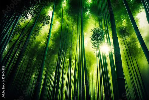 A bamboo forest lit by sunlight through the trunks  this Asian setting is ideal for images and projects filled with peace and calm. Generative AI