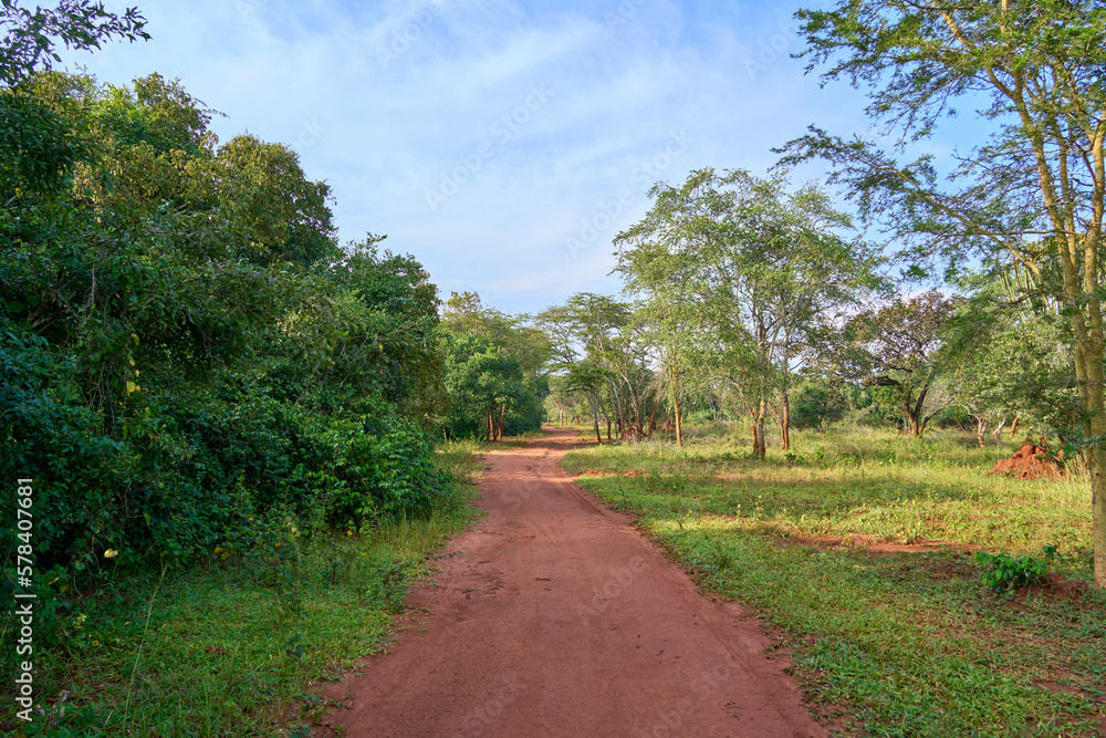 A path in Ziwa Rhino Sanctuary, Uganda