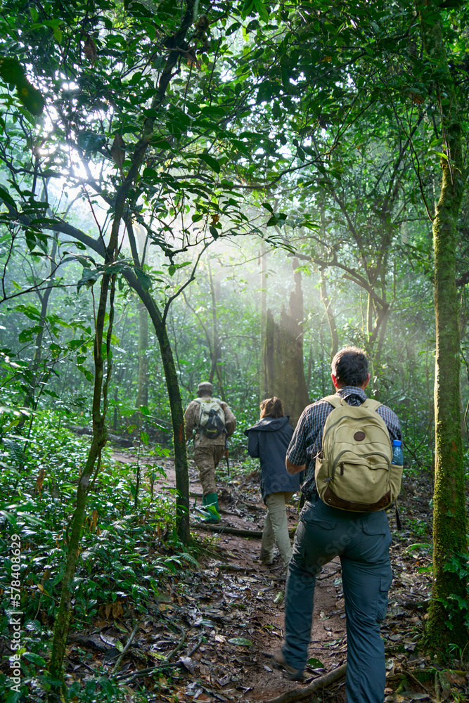 Ranger with a group of tourists while chimpanzee trekking in Kibale, Uganda