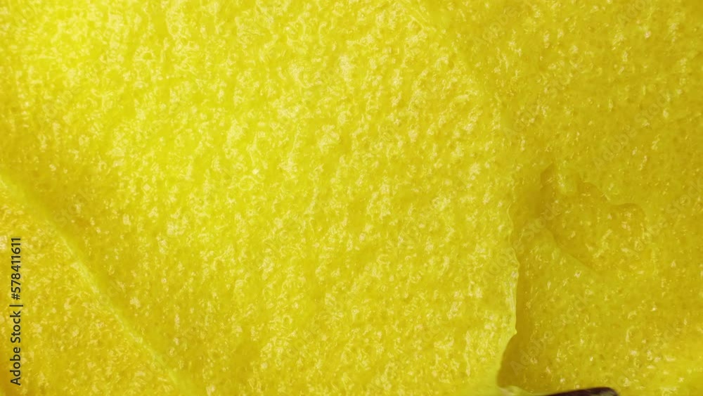 Top view of bright yellow lemon exfoliating sugar body scrub texture smears close up Top view of bright yellow lemon exfoliating sugar body scrub texture smears close up