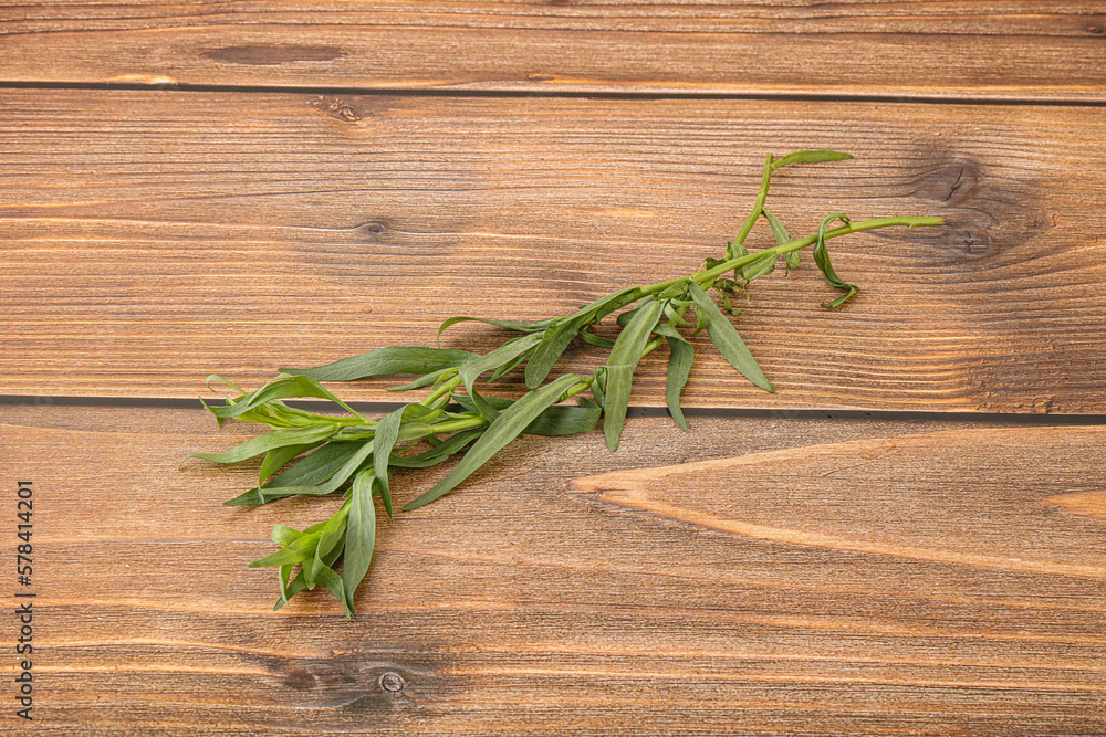 Green tarragon herb spice for cooking Green tarragon herb spice for cooking