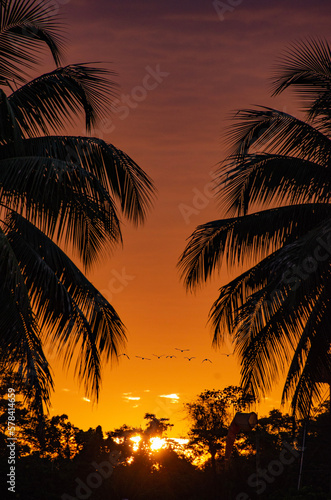 Sunrise at the Amazon rainforest