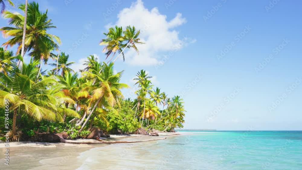 Maldives island with coconut trees on a sunny sea beach. Summer holidays in the Indian Ocean. Landscape of a tropical beach with white sand. Maldivian beach and blue sea. Travel to tropical paradise. Maldives island with coconut trees on a sunny sea beach. Summer holidays in the Indian Ocean. Landscape of a tropical beach with white sand. Maldivian beach and blue sea. Travel to tropical paradise.