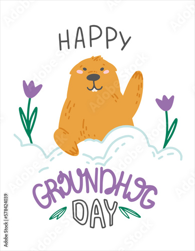 The groundhog crawled out of the snow hole. Groundhog day holiday. Groundhog waving his paw. Illustration for holiday design. Bright vector illustration in a flat style. photo