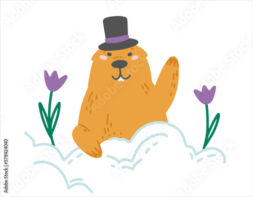 The groundhog crawled out of the snow hole. Groundhog day holiday. Groundhog waving his paw. Illustration for holiday design. Bright vector illustration in a flat style. photo