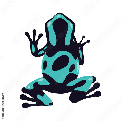 flat green toad