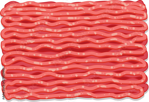 vector minced meat. ground raw meat