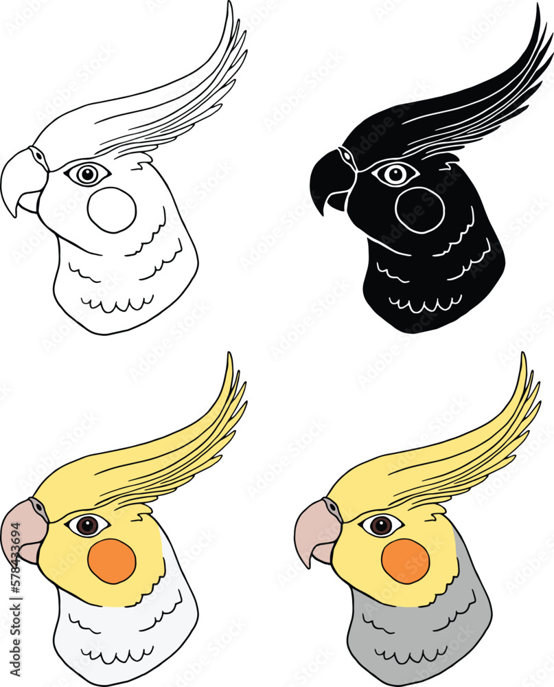 Cockatiel Bird Head Clipart - Outline, Silhouette and Color Stock ...