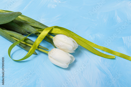White tulips and green ribbon on blue background