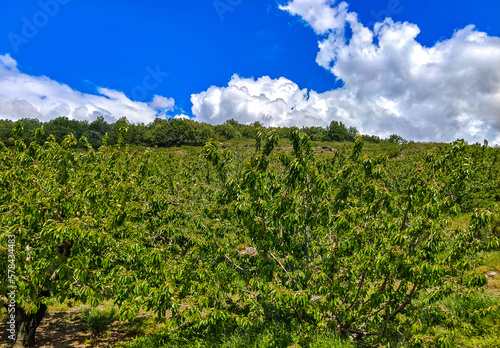 Jerte valley