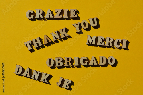 Thank You, words in English and European langauges photo