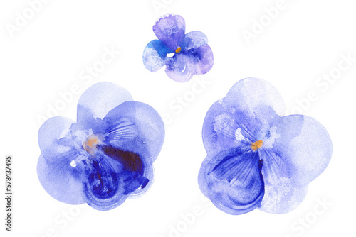 Pansy the Symbol of Freethought