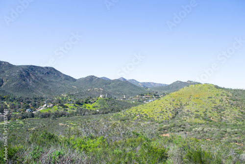 Vast mountain landscape nature plants