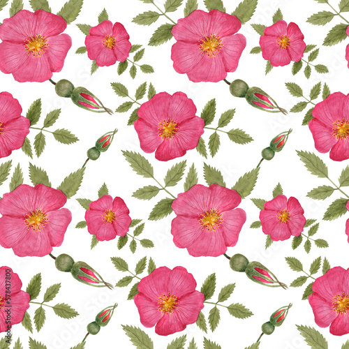 Watercolor seamless pattern Wild Rose pink flowers and buds