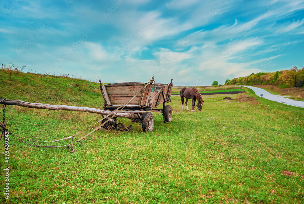Obraz premium Horse in the village grazes on pasture, a wooden cart