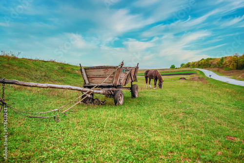 Horse in the village grazes on pasture, a wooden cart