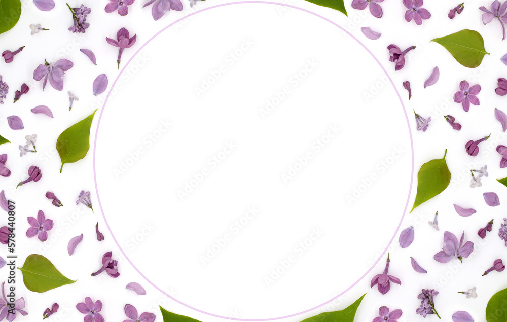 Frame of beautiful lilac flowers and leaves on a white background Frame of beautiful lilac flowers and leaves on a white background