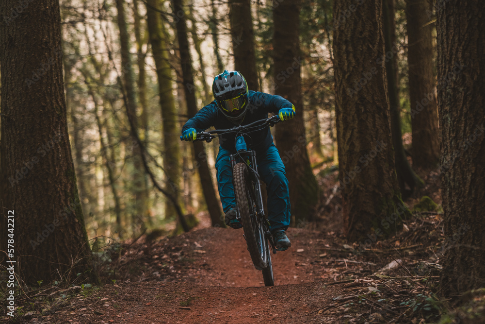 Fototapeta premium Mountain biker